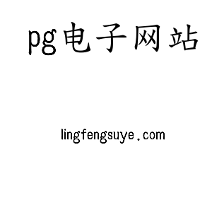 深圳市pg电子网站电子有限公司官网